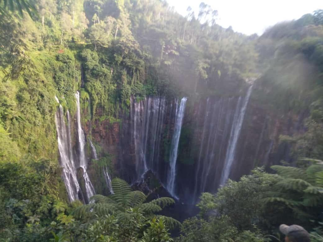 Javalindra Homestay Tour And Travel Banyuwangi  Extérieur photo