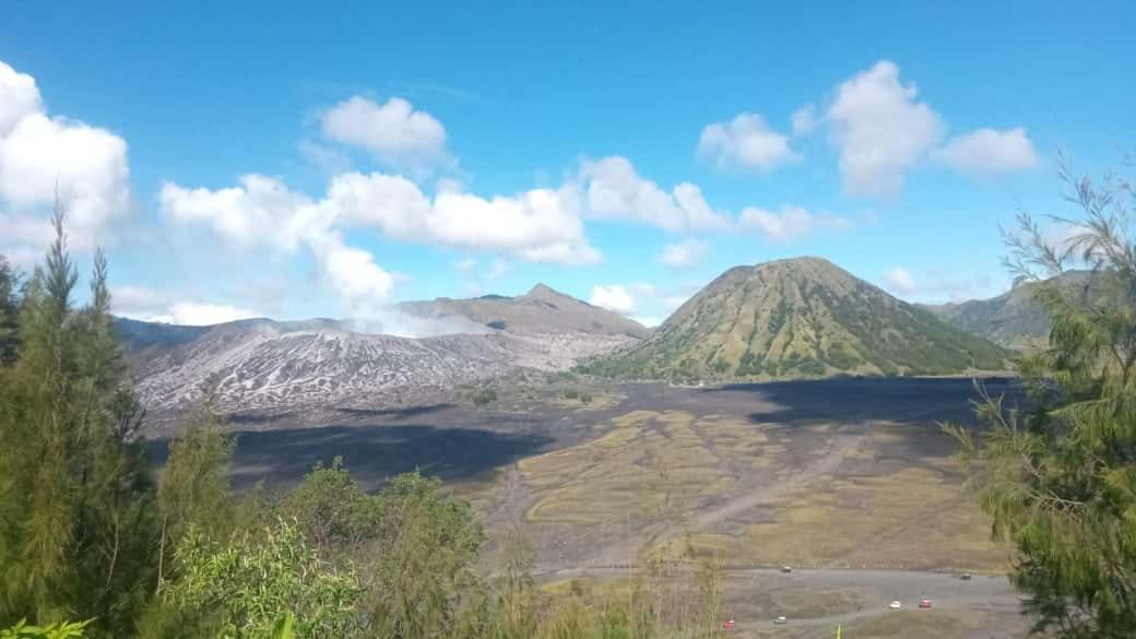 Javalindra Homestay Tour And Travel Banyuwangi  Extérieur photo